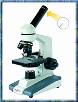 Premiere® Student Microscope MS-01